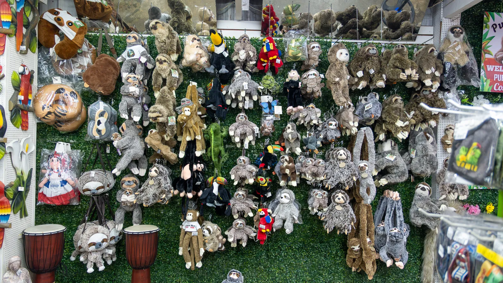 Sloth plush toys and other stuffed animals on a green wall