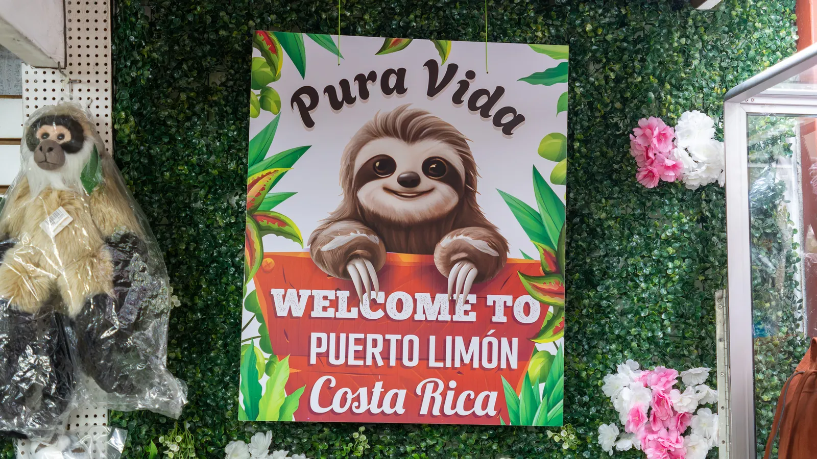 “Pura Vida, Welcome to Puerto Limón” sign with a sloth