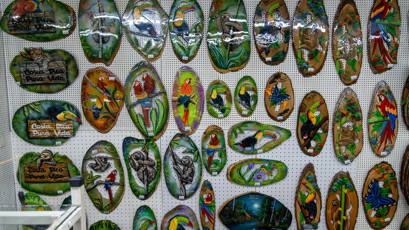 Wall of painted decorative plates with toucans, macaws and sloths