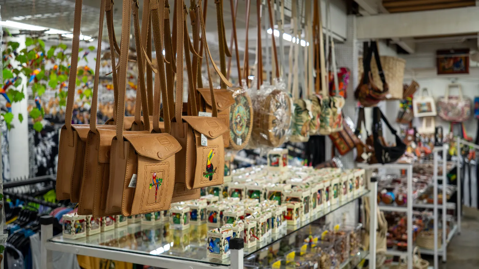 Leather bags hanging above a glass counter